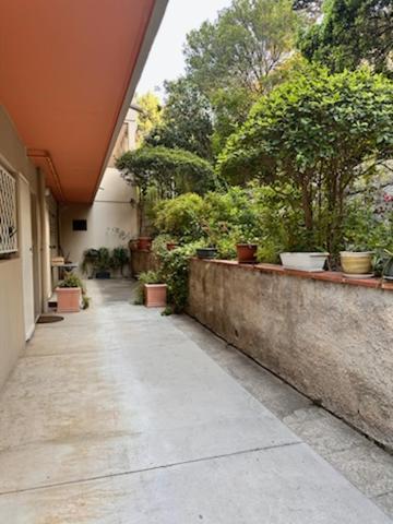 Appartement Avec Jardin 卡西斯 外观 照片